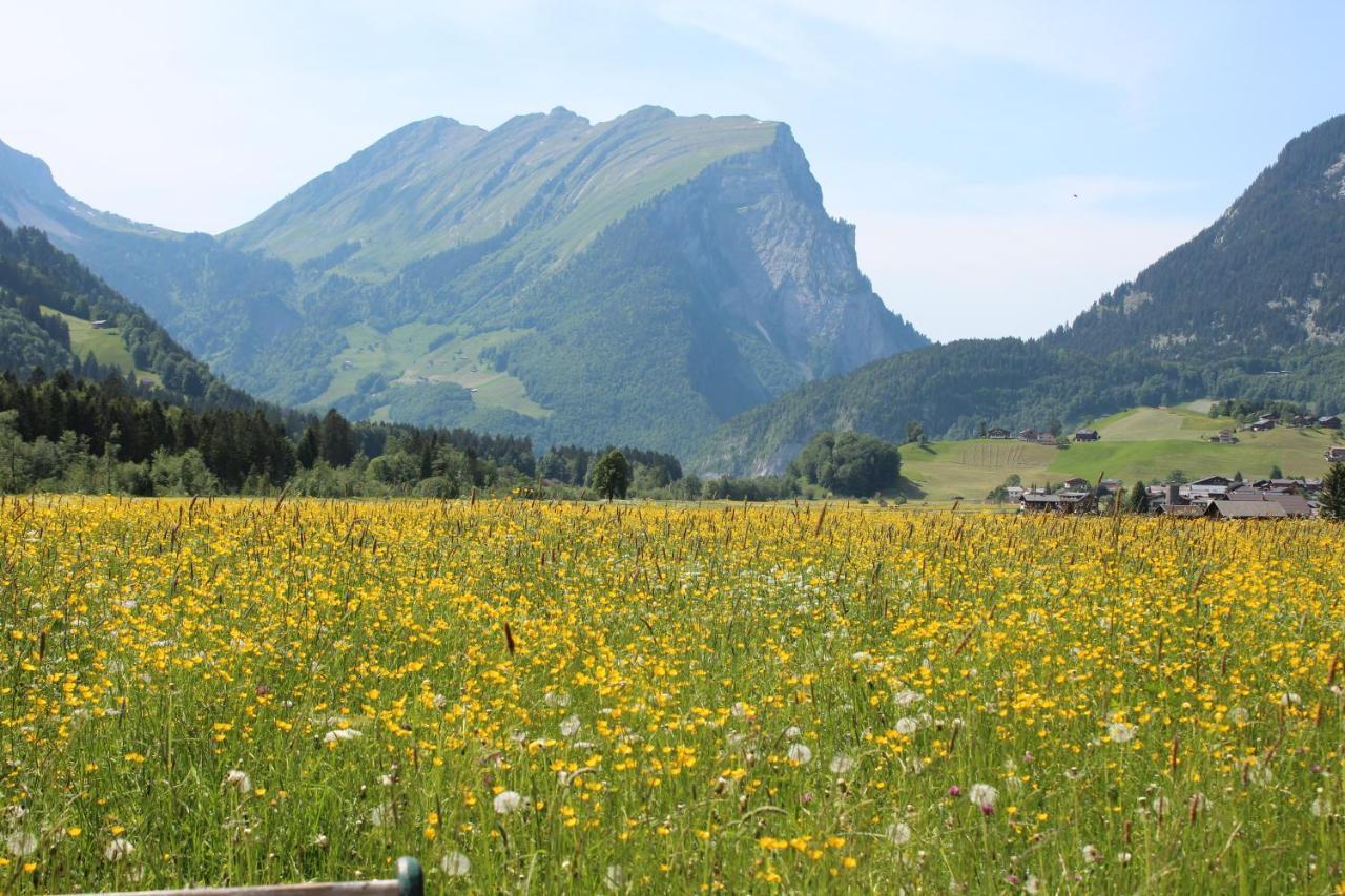 Gaemsle Hotel, Wirtshaus & Mehr Schoppernau Luaran gambar